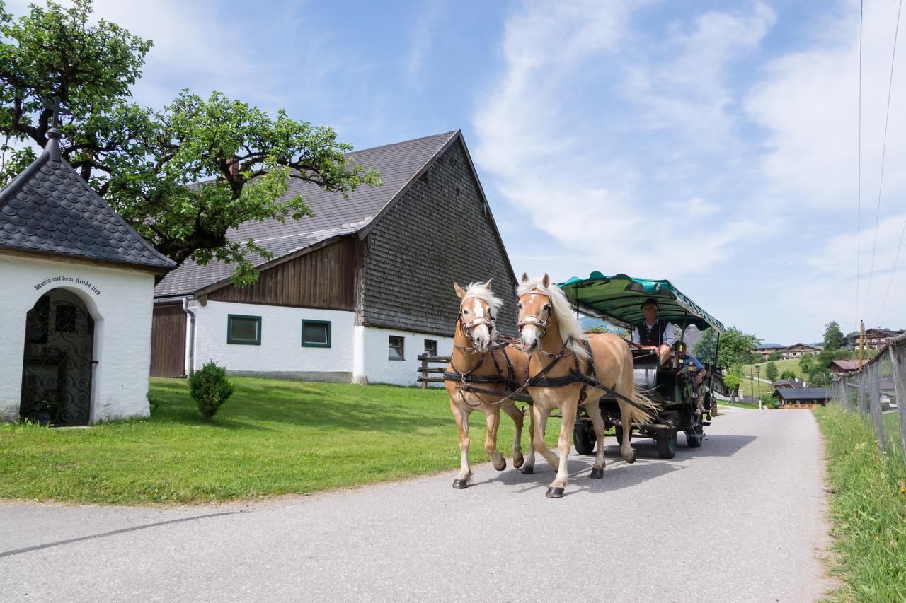 Hauslhof Panzió Saint Wolfgang Kültér fotó